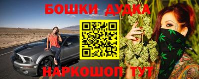 Альфа ПВП Лесосибирск
