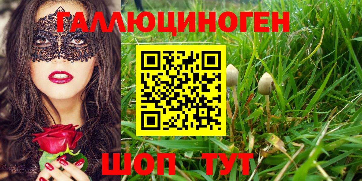 Арзамас  Псилоцибиновые грибы мицелий  Вход с VPN 